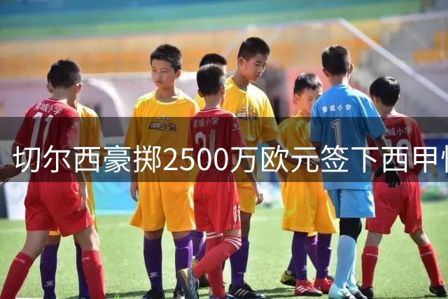 切尔西豪掷2500万欧元签下西甲悍将，查瓦里亚即将亮相英超
