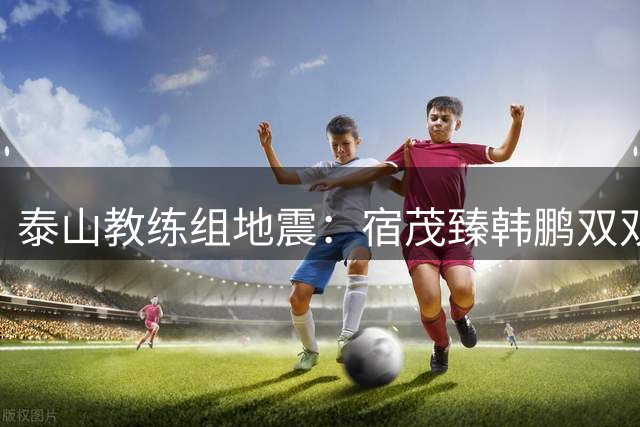 泰山教练组地震：宿茂臻韩鹏双双下课背后的深层危机